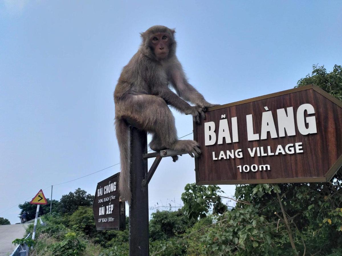 Monkeyland Cham Island Homestay Tân Hiệ Exterior foto